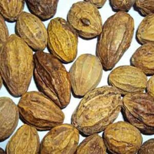 Harad Health Benefits: यौन समस्याओं से लेकर पाचन तक, जानिए हरड़ के फायदे