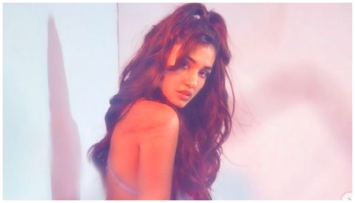 Disha Patani Sexy Photo: दिशा पाटनी ने शेयर कीं ऐसी तस्वीरें, फैंस ने प्यार से भर दिया कॉमेंट सेक्शन