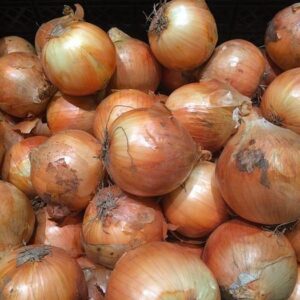 Onion Health Benefits प्याज खाने के 10 फायदे और नुकसान यहां जानिए