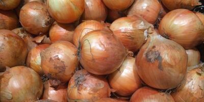 Onion Health Benefits: प्याज खाने के 10 फायदे और नुकसान यहां जानिए