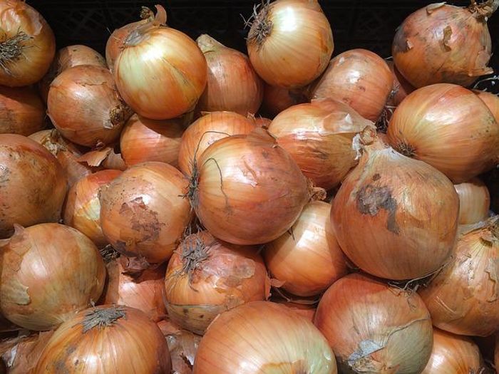 Onion Health Benefits प्याज खाने के 10 फायदे और नुकसान यहां जानिए