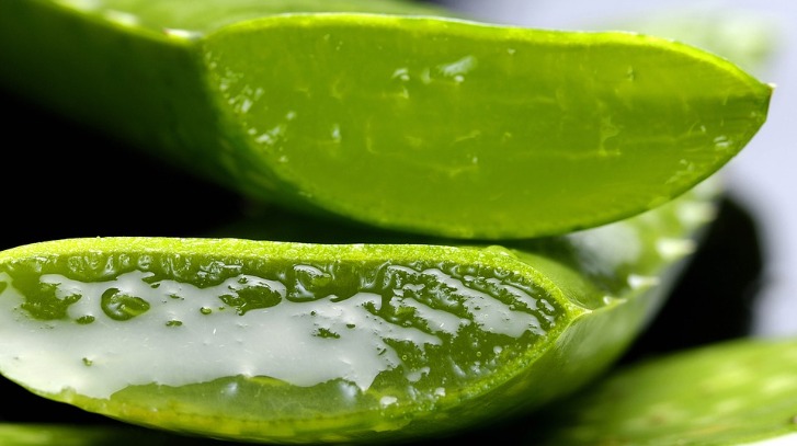 Aloe Vera Benefits in Hindi - बालों से लेकर सुंदर त्वचा तक, जानें एलोवेरा के अनगिनत फायदे