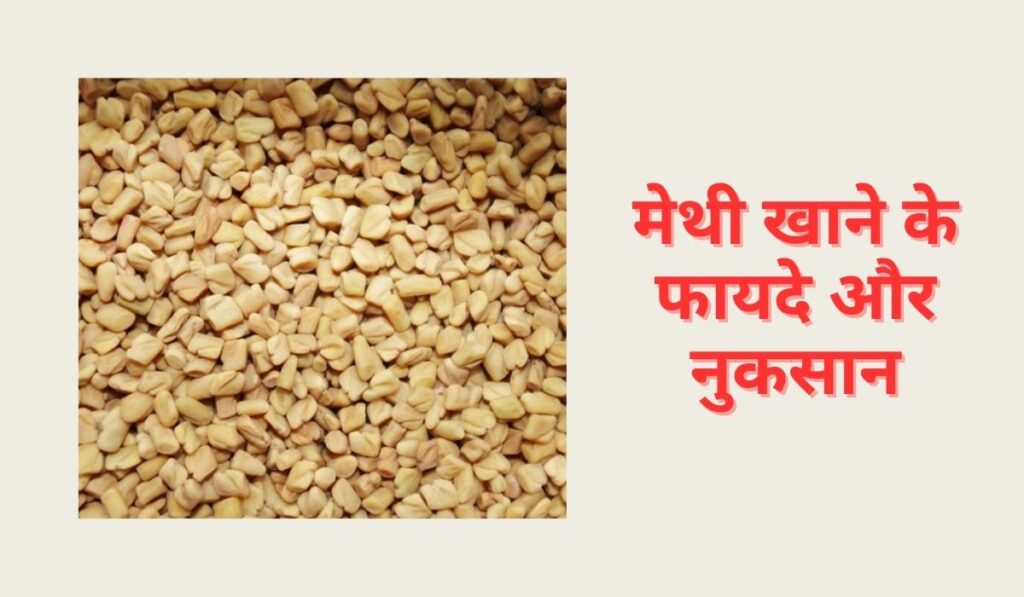 Fenugreek Benefits in Hindi