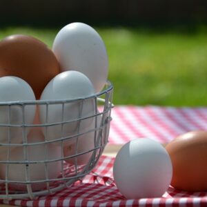 Real Egg vs Plastic Egg: अंडा प्लास्टिक का है या मुर्गी का, इस तरह लगाएं पता (Image Source: Pixabay)