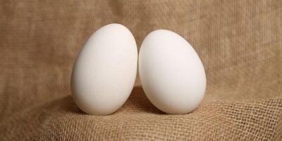 Egg Health Benefits: रोजाना अंडे खाने के फायदे जानकर आप हो जाएंगे हैरान