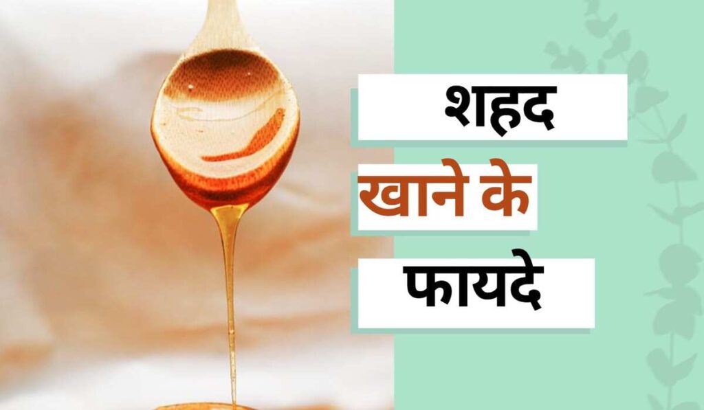 Honey Health Benefits in Hindi - शहद खाने के अदभुत फायदे (Image Source: Pixabay)