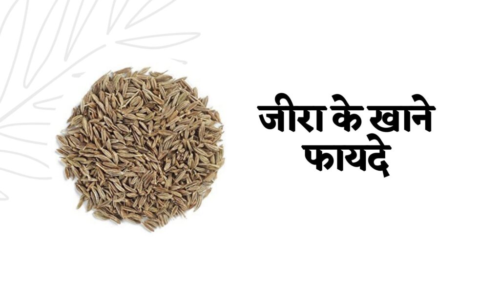 Cumin Health Benefits in Hindi: जीरा के खाने फायदे, नुकसान और उपयोग