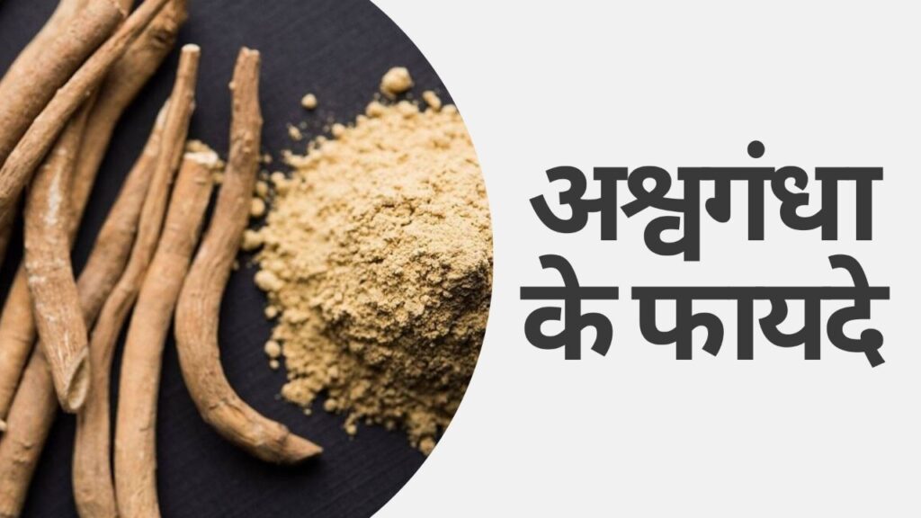 Ashwagandha Benefits: अश्वगंधा के इन फायदों के बारे जानकर आप हो जाएंगे हैरान