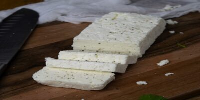 Paneer Health Benefits: पनीर खाने के फायदे और नुकसान यहां जानिए