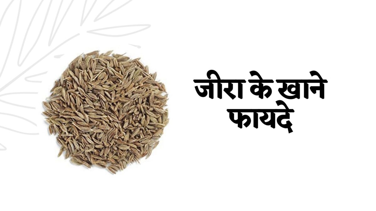 Cumin Health Benefits in Hindi: जीरा के खाने फायदे, नुकसान और उपयोग