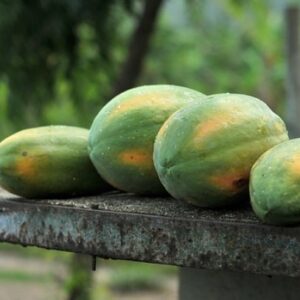 Health Benefits Of Papaya - पपीता खाने के इतने सारे फायदे जानकर आप हो जाएंगे हैरान