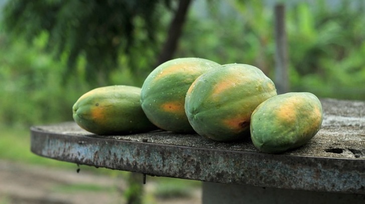 Health Benefits Of Papaya - पपीता खाने के इतने सारे फायदे जानकर आप हो जाएंगे हैरान