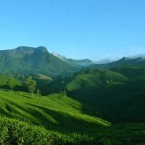 Munnar Hill Station: Best Tourist Places, Hotels, Restaurants & ATMs in Munnar