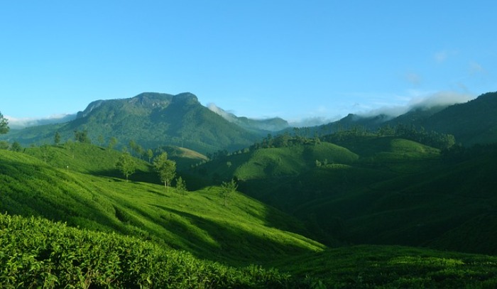 Munnar Hill Station: Best Tourist Places, Hotels, Restaurants & ATMs in Munnar