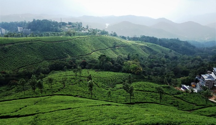 Munnar Hill Station