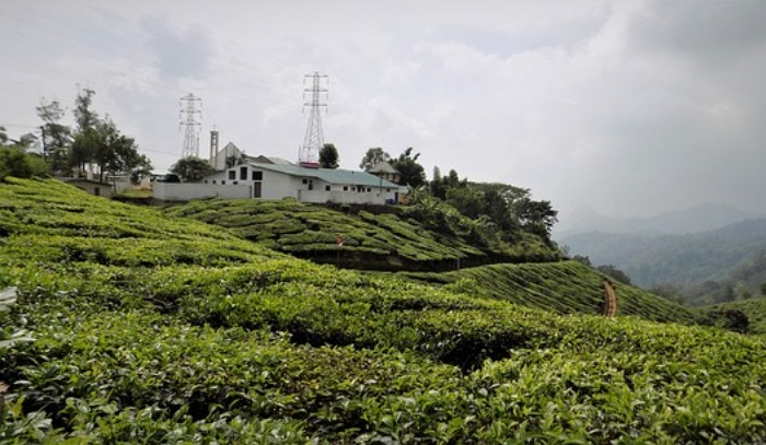 Munnar Hill Station ( Photo from Pixabay)