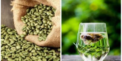 Green Tea vs Green Coffee: ग्रीन टी और ग्रीन कॉफी में कौन है सबसे ज्‍यादा सेहतमंद, जानिए यहां