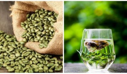 Green Tea vs Green Coffee ग्रीन टी और ग्रीन कॉफी में कौन है सबसे ज्‍यादा सेहतमंद, जानिए यहां