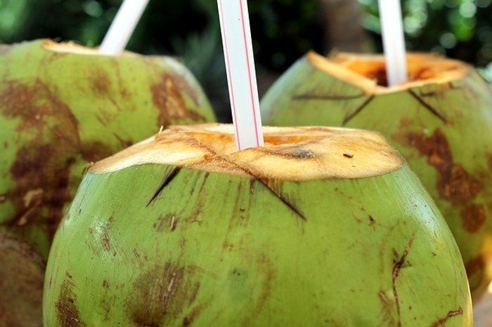 Benefits of Coconut Water: सेहत के लिए बहुत लाभकारी है नारियल पानी, जानिए इसके अनगिनत फायदे