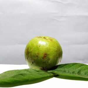 Benefits of Guava: अमरूद खाने के इतने सारे है फायदे, जिसे जानकर आप हो जाएंगे हैरान