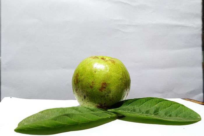 Benefits of Guava: अमरूद खाने के इतने सारे है फायदे, जिसे जानकर आप हो जाएंगे हैरान