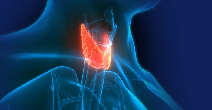 Thyroid Symptoms जानिए थायराइड के शुरुआती लक्षण और इसका रामबाण इलाज