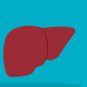 liver-pixabay