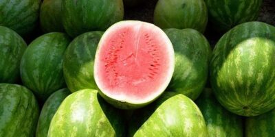 Watermelon benefits: शरीर में पानी का सबसे अच्छा विकल्प है तरबूज, जानिए इसके फायदे