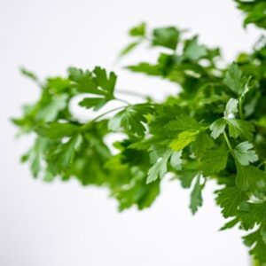 Coriander Benefits: आंखों की जलन से लेकर माहवारी तक, जानिए धनिया के 5 चमत्कारी फायदे (Image Source: Pixabay)