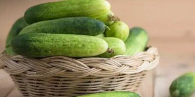 Cucumber Health Benefits: खीरा खाने के फायदे जानकर आप हो जाएंगे हैरान