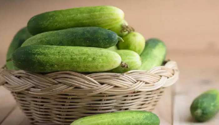 Cucumber Health Benefits: खीरा खाने के फायदे जानकर आप हो जाएंगे हैरान