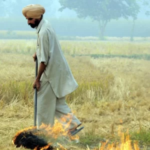 Punjab stubble burning cases