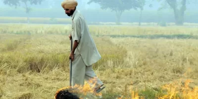 Stubble Burning: पंजाब में पराली जलाने के 599 मामले, चार जिलों में एक भी केस नहीं