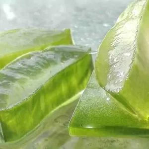 Aloe Vera Juice Benefits: गुणों से भरपूर होता है घर पर बनाया हुआ एलोवेरा जूस, जानिए इसके फायदे (Image Source: Pixabay)