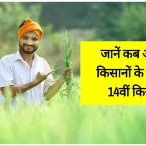 PM Kisan 14th Installment Date: कब तक आ सकती है पीएम किसान की 14वीं किस्त, यहां जानिए लेटेस्ट अपडेट (Image Credit: Pixabay)