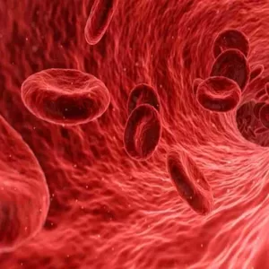 Anemia: खून की कमी (एनीमिया) के लक्षण, कारण और उपाय (Image Credit: Pixabay)