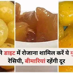 Murabba Health Benefits अपने डाइट में रोजाना शामिल करें ये मुरब्बा रेसिपी, बीमारियां रहेंगी दूर