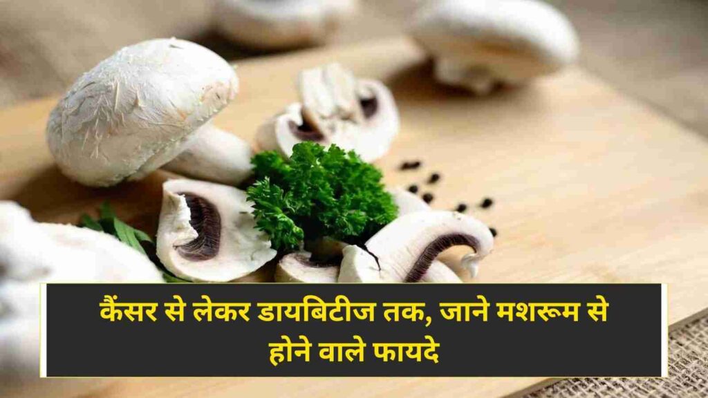 Mushroom Health Benefits कैंसर से लेकर डायबिटीज तक, जाने मशरूम से होने वाले फायदे (Image Credit: Pixabay)