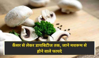 Mushroom Health Benefits कैंसर से लेकर डायबिटीज तक, जाने मशरूम से होने वाले फायदे (Image Credit: Pixabay)