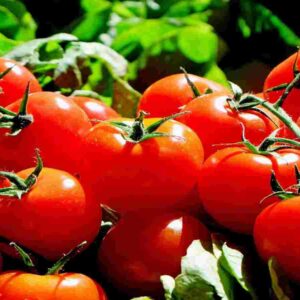 Tomato Health Benefits रोजाना टमाटर के सेवन करने से आपको मिलेंगे ये चमत्कारी फायदे (Image Credit: Pixabay)