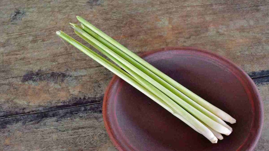 Benefits of lemon grass