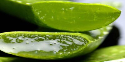 Aloe Vera: पाचन से लेकर त्वचा तक, जानिए एलोवेरा जूस पीने के अनगिनत फायदे