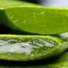 Aloe Vera: पाचन से लेकर त्वचा तक, जानिए एलोवेरा जूस पीने के अनगिनत फायदे