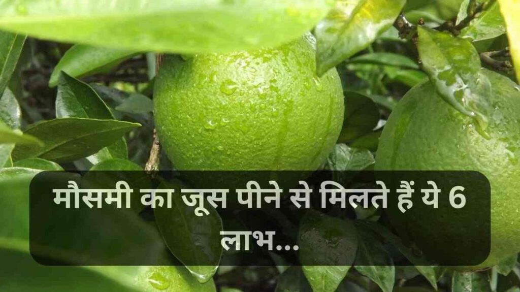 Mosambi Juice Benefits मौसमी का जूस पीने से मिलते हैं ये 6 लाभ, जानकर रह जाएंगे हैरान