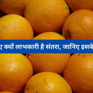 Orange Health Benefits सेहत के लिए क्यों लाभकारी है संतरा, जानिए इसके सारे फायदे (Image Credit: Pixabay)