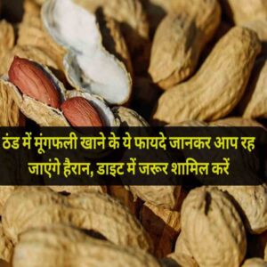 Peanuts Health Benefits ठंड में मूंगफली खाने के ये फायदे जानकर आप रह जाएंगे हैरान, डाइट में जरूर शामिल करें