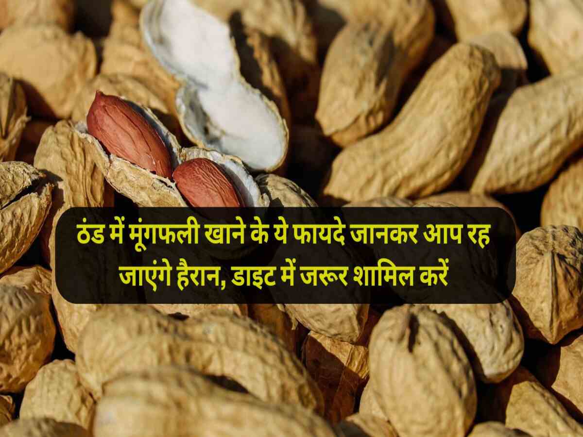 Peanuts Health Benefits ठंड में मूंगफली खाने के ये फायदे जानकर आप रह जाएंगे हैरान, डाइट में जरूर शामिल करें