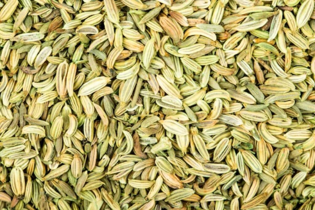 Benefits of Fennel Seeds: रोज़ाना सौंफ खाने से इन 3 बीमारियों का खतरा होगा खत्म, जानें इसका सही उपयोग