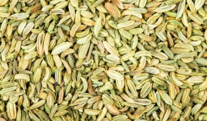 Benefits of Fennel Seeds: रोज़ाना सौंफ खाने से इन 3 बीमारियों का खतरा होगा खत्म, जानें इसका सही उपयोग